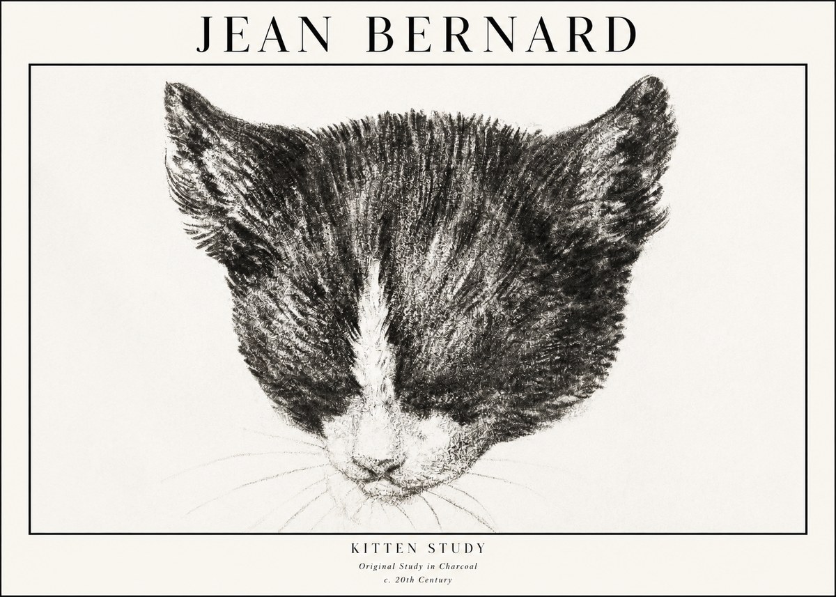 Jean Bernard Cat Study V No4 - Póster