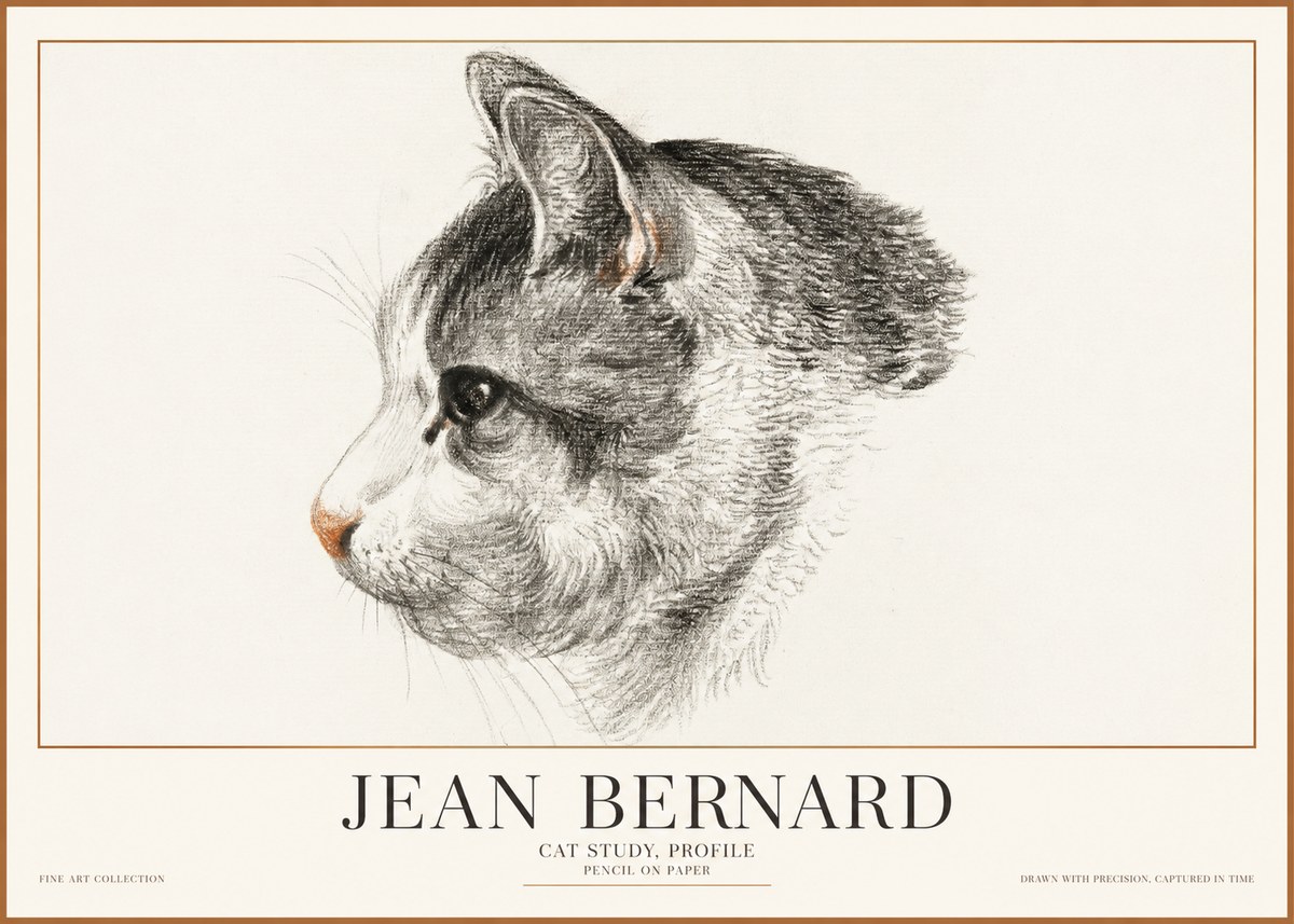 Jean Bernard Cat Study, Profile No1 - Póster
