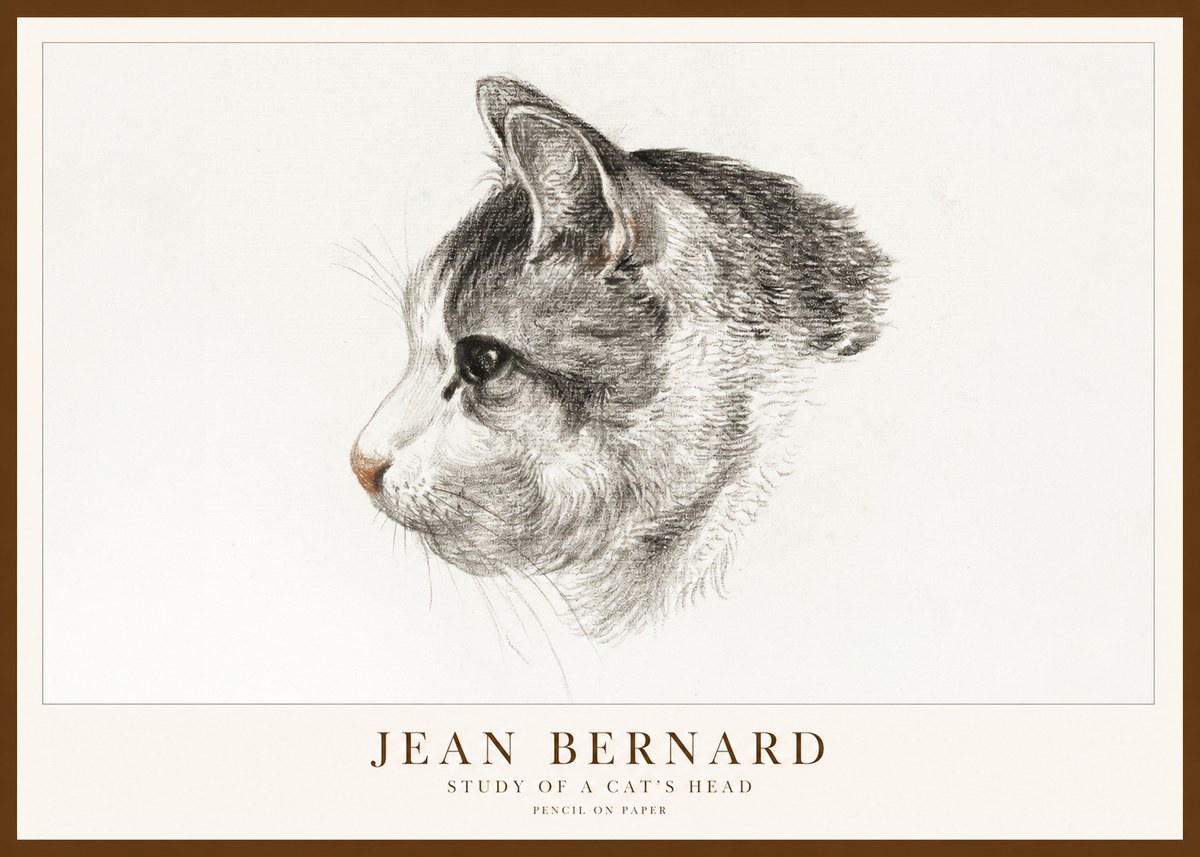 Jean Bernard Cat Study, Profile No2 - Póster
