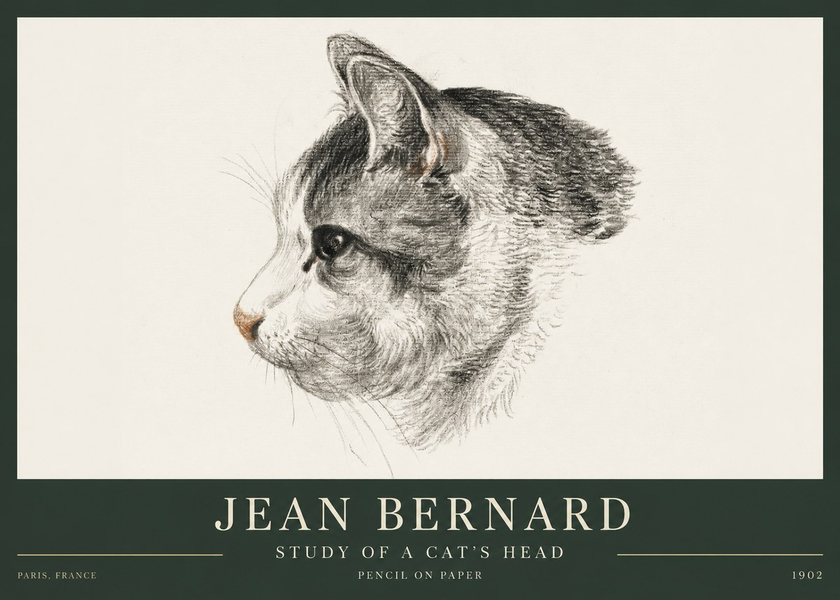 Jean Bernard Cat Study, Profile No4 - Póster