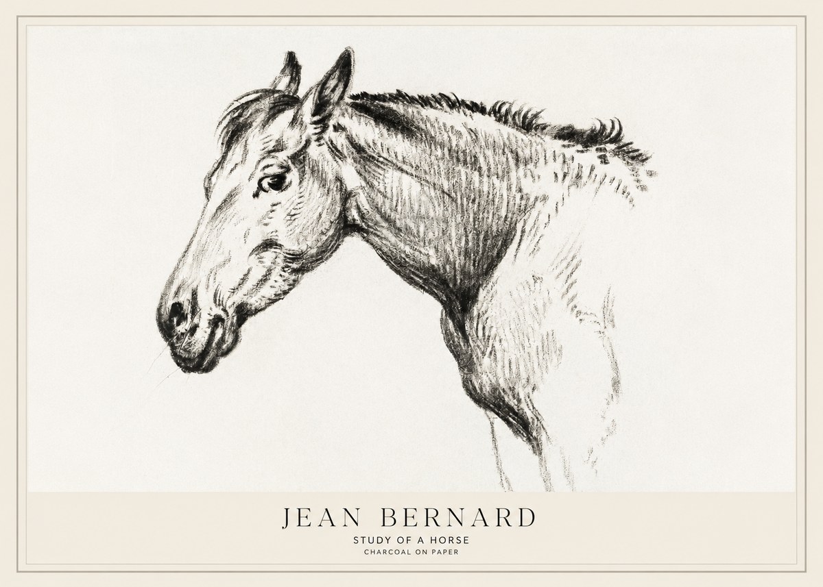 Jean Bernard Study of a Horse VI No1 - Póster