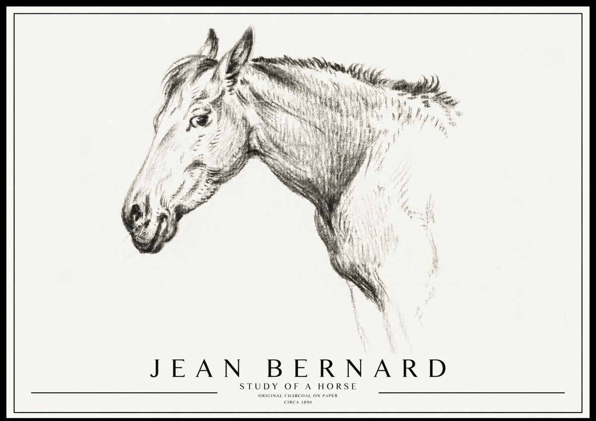 Jean Bernard Study of a Horse VI No3 - Póster