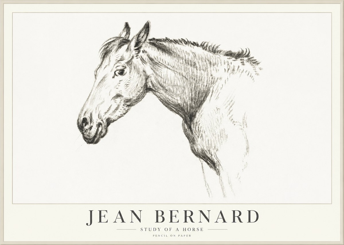 Jean Bernard Study of a Horse VI No4 - Póster