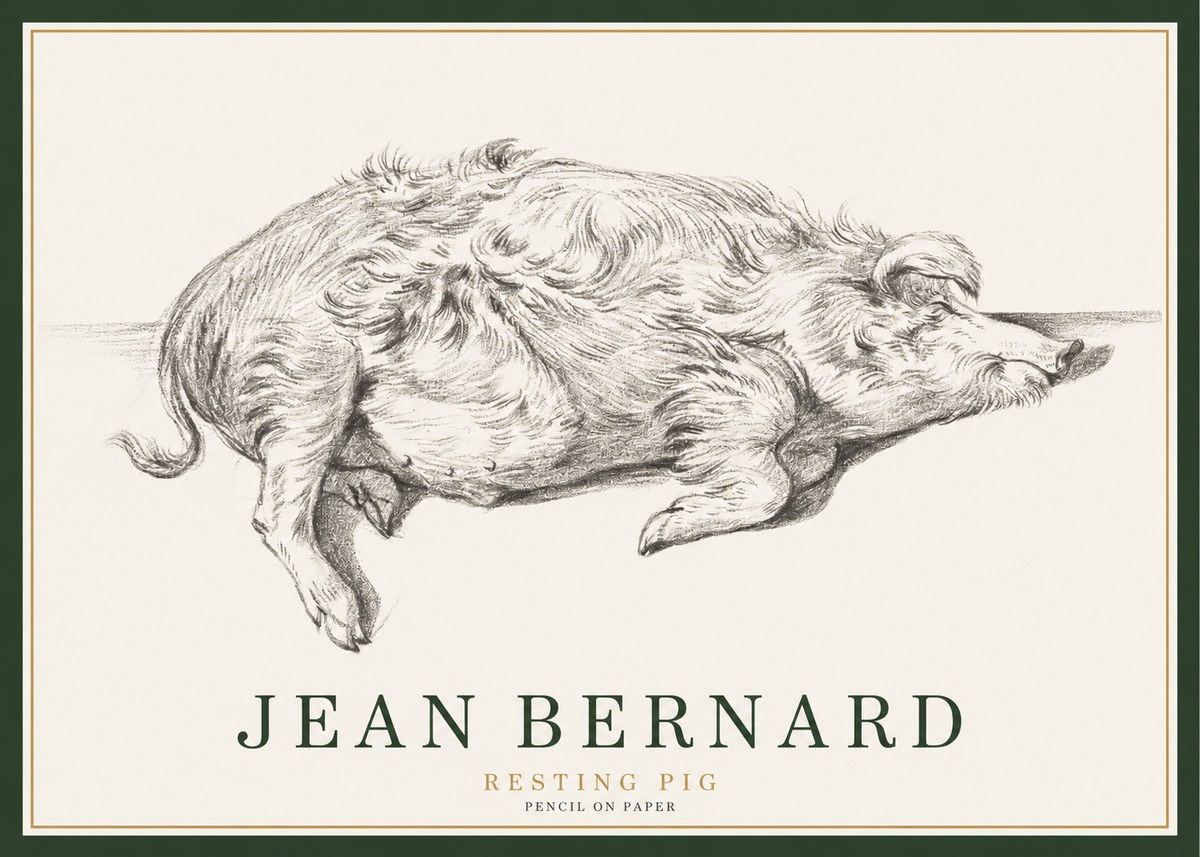 Jean Bernard Study of a Pig I No3 - Póster