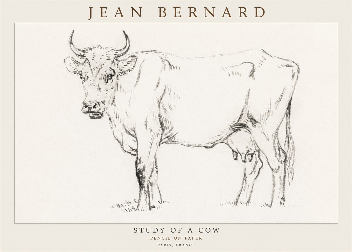 Jean Bernard Study of a Cow VI No3 - Póster