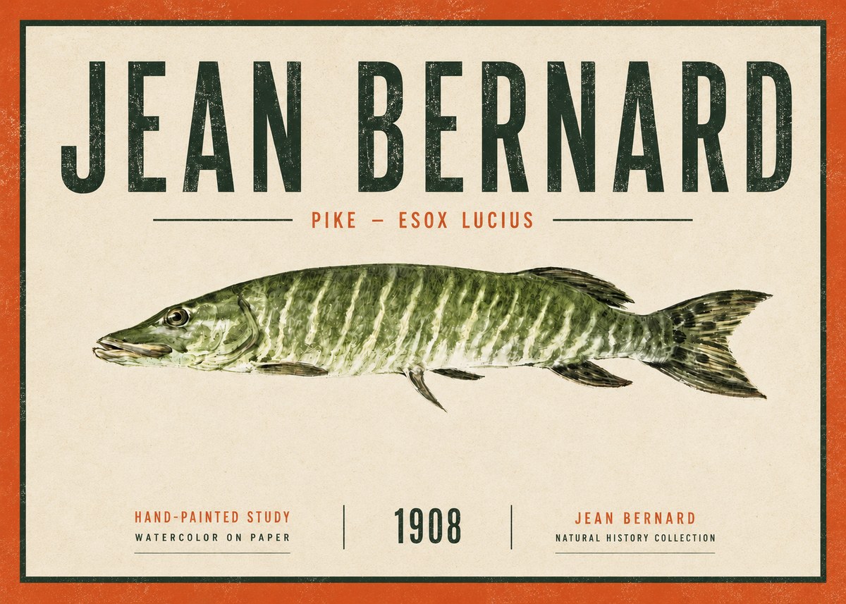 Jean Bernard Northern Pike No6 - Póster