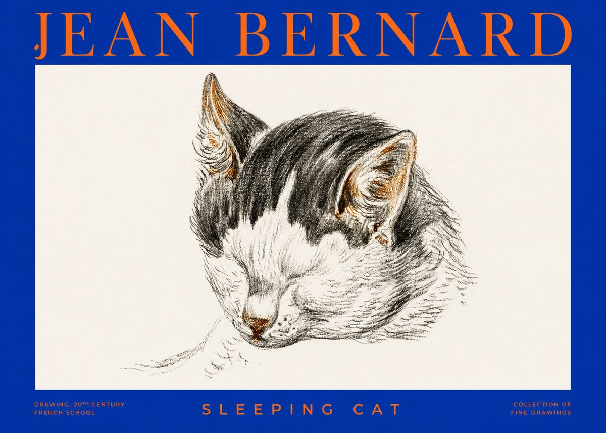 Jean Bernard Sleeping Cat V No2 - Póster