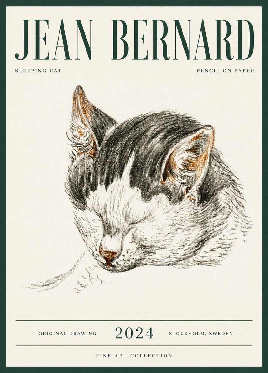 Jean Bernard Sleeping Cat V No6 - Póster