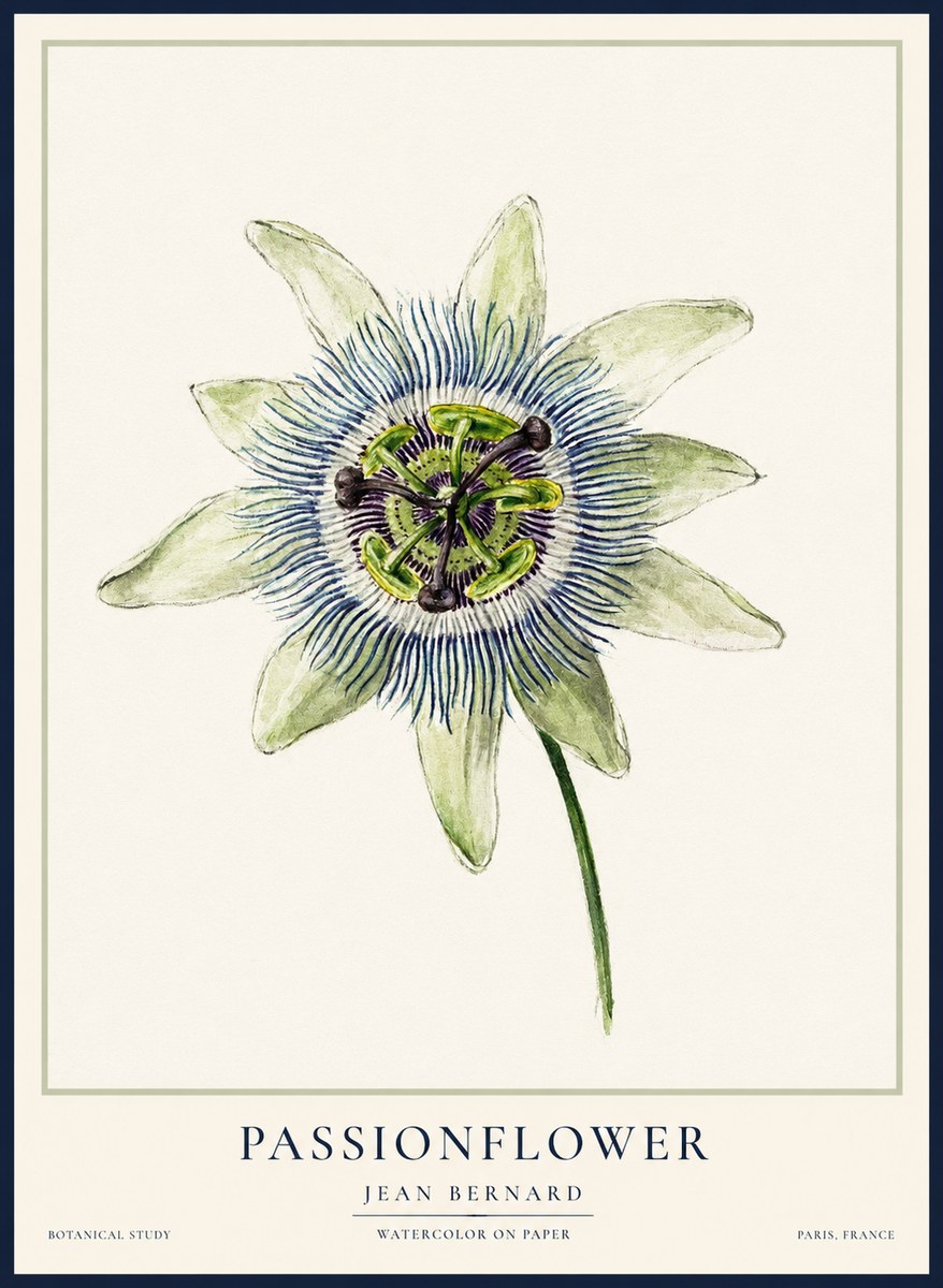Jean Bernard Passionflower No2 - Póster