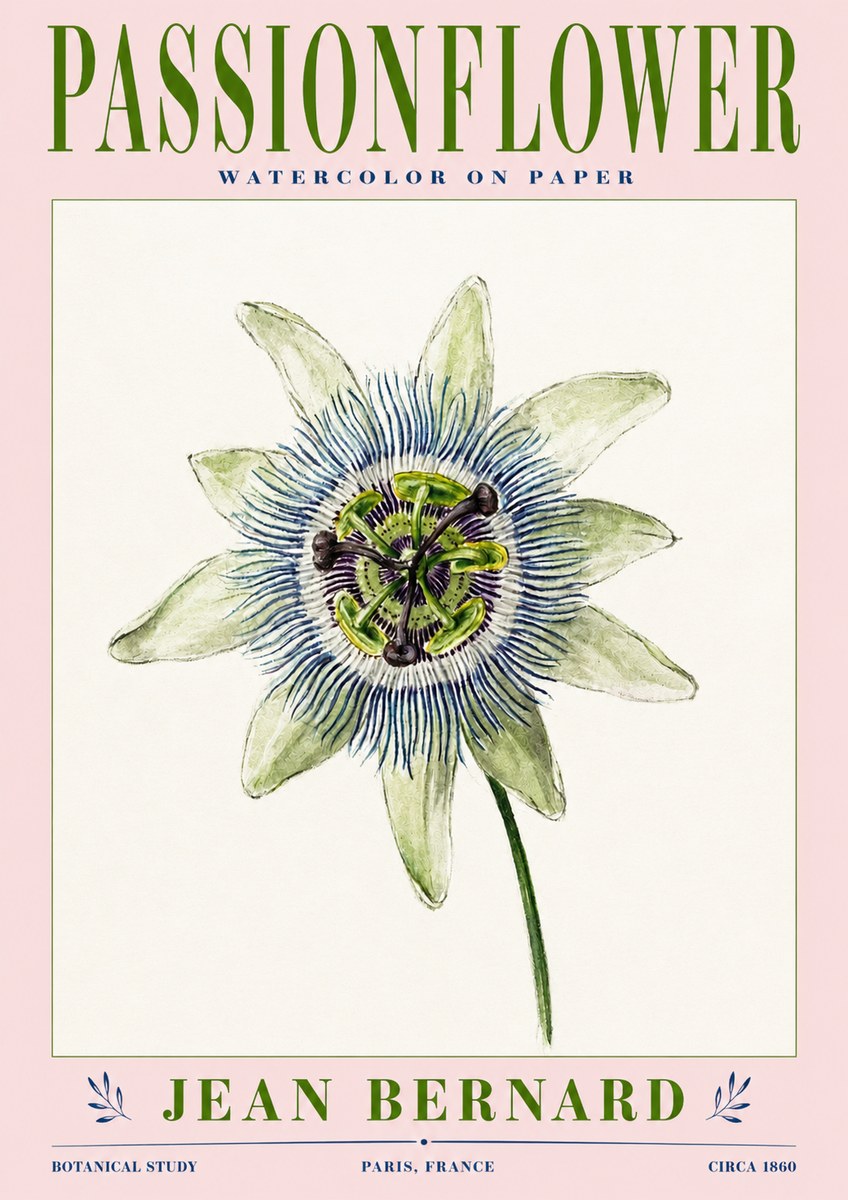 Jean Bernard Passionflower No3 - Póster