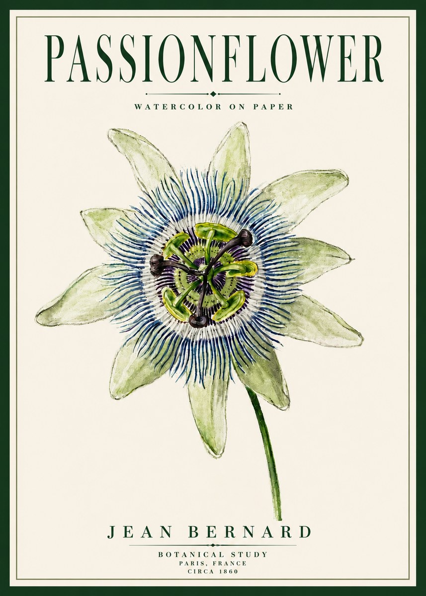 Jean Bernard Passionflower No5 - Póster