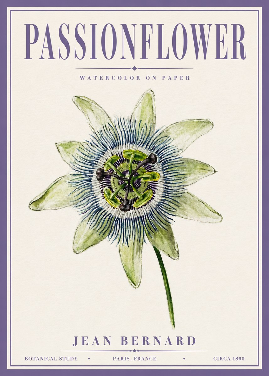 Jean Bernard Passionflower No6 - Póster