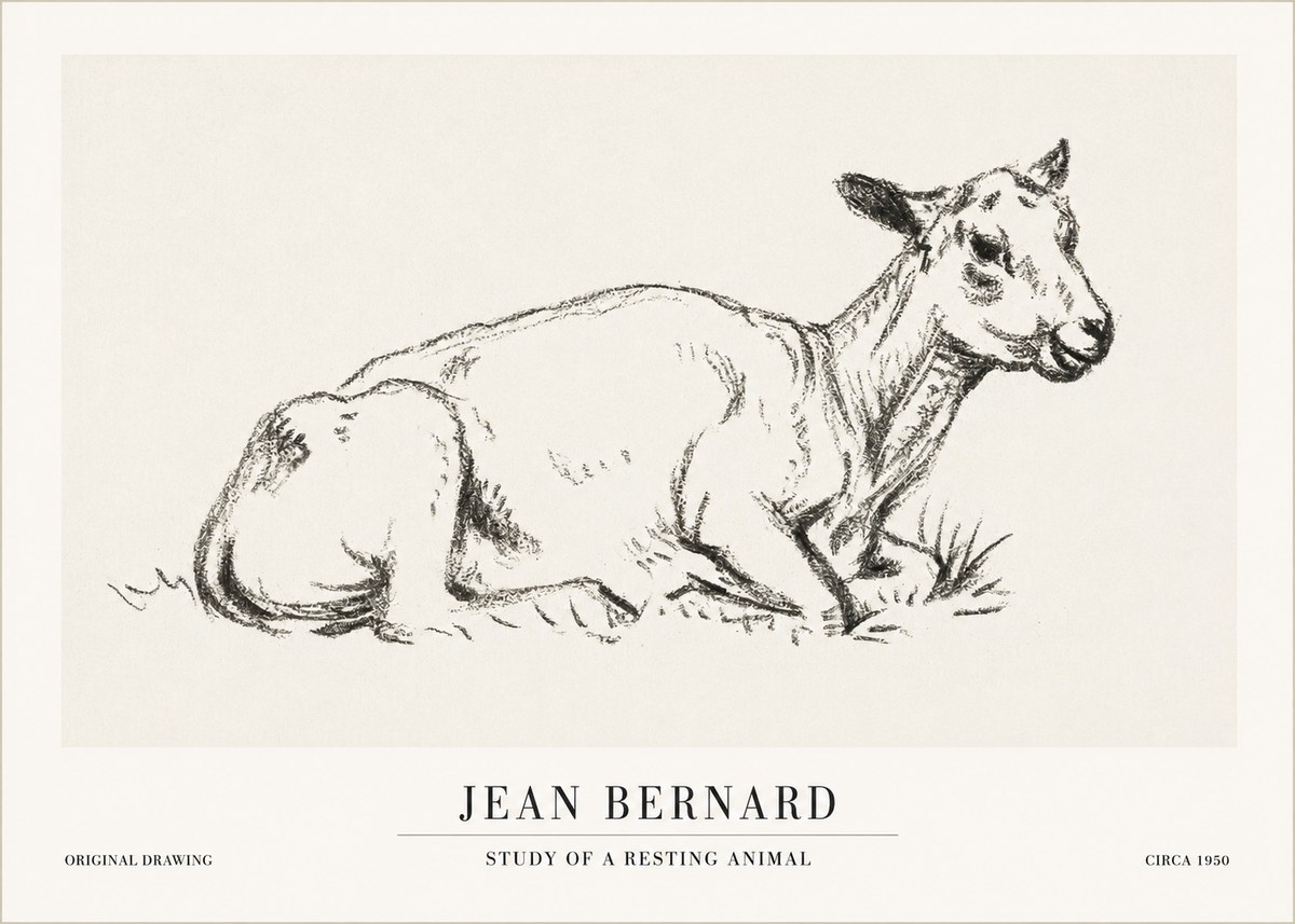 Jean Bernard Study of a Resting Animal No1 - Póster