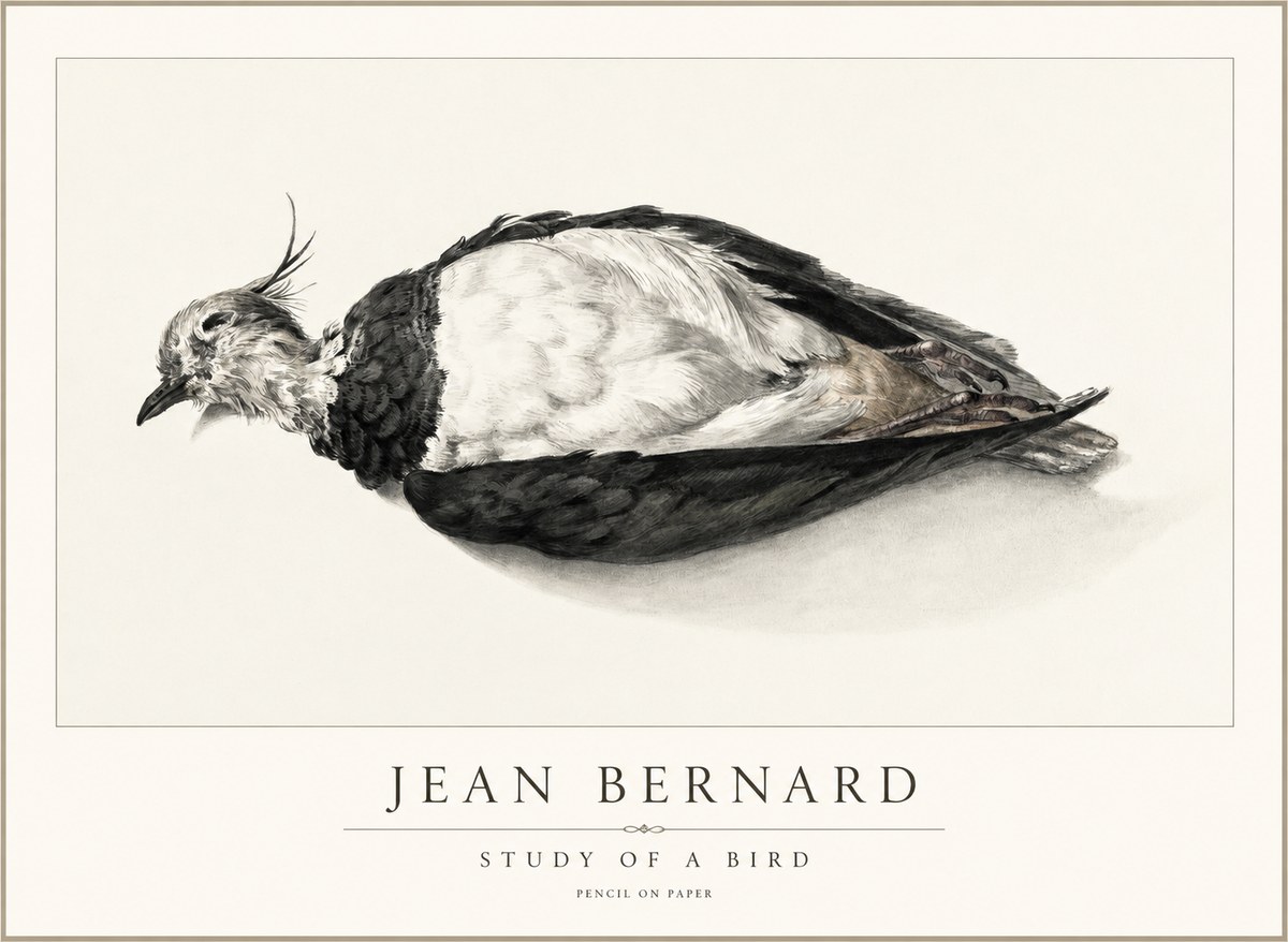 Jean Bernard Study of a Bird II No2 - Póster