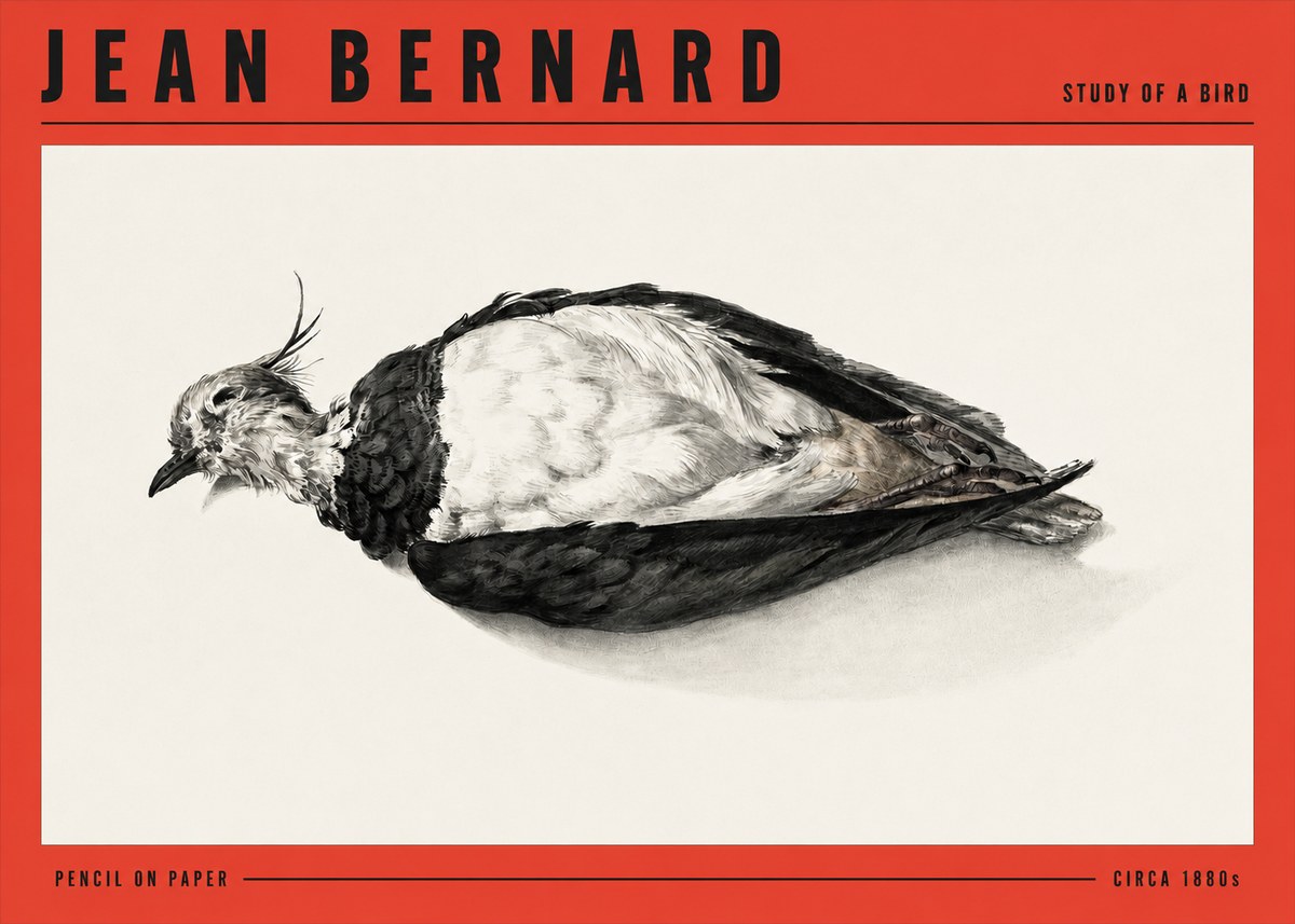 Jean Bernard Study of a Bird II No3 - Póster
