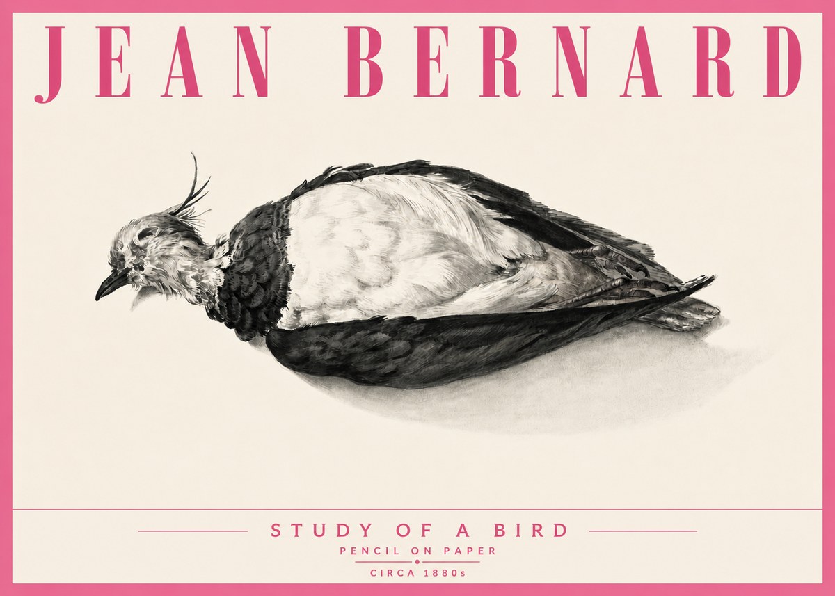 Jean Bernard Study of a Bird II No6 - Póster