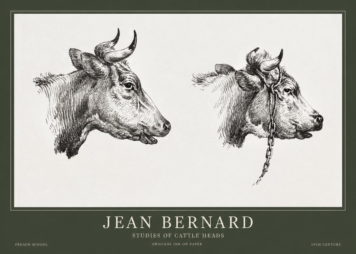 Jean Bernard Studies of Cattle Heads No1 - Póster