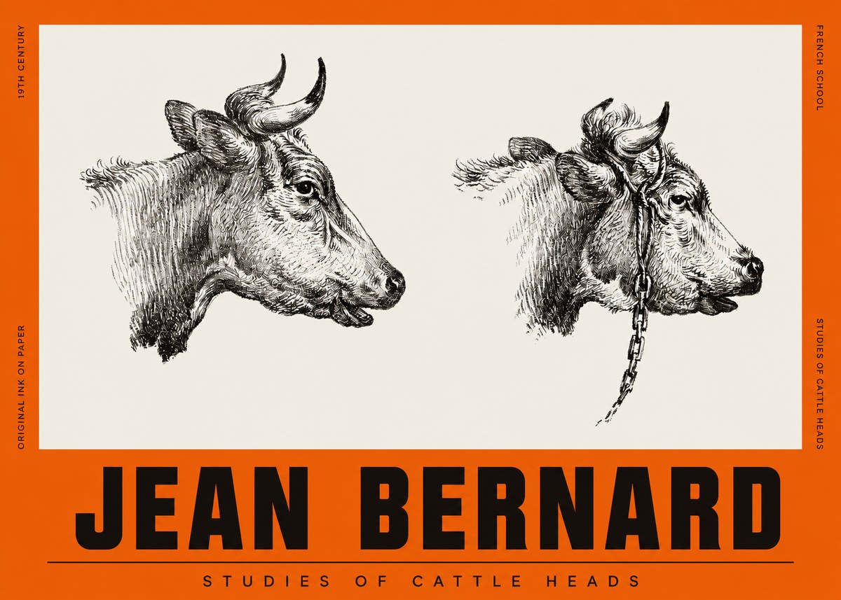 Jean Bernard Studies of Cattle Heads No2 - Póster