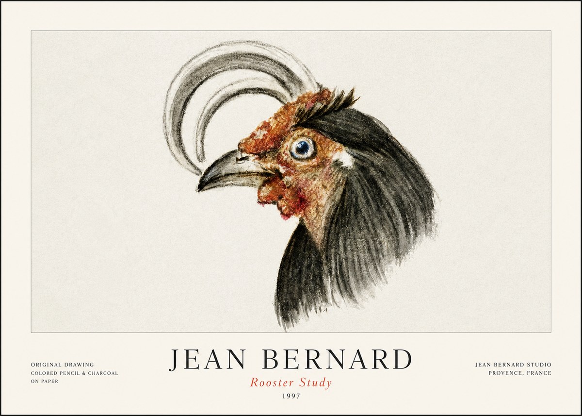 Jean Bernard Rooster Study No1 - Póster