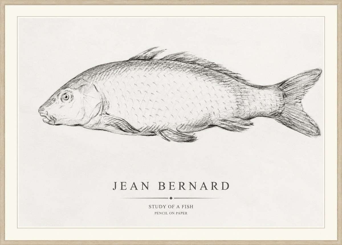 Jean Bernard Study of a Fish III No1 - Póster