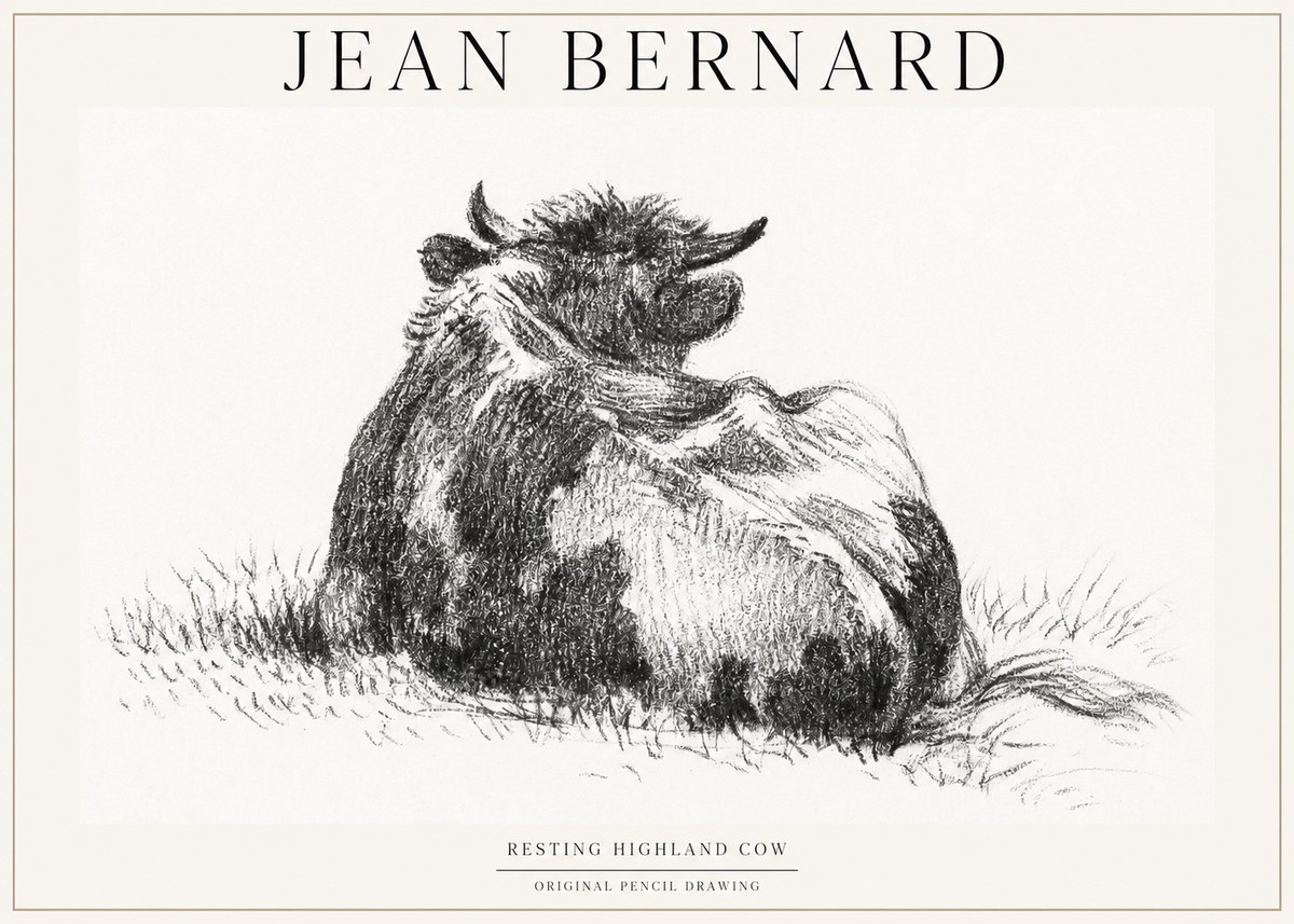 Jean Bernard Resting Highland Cow No1 - Póster