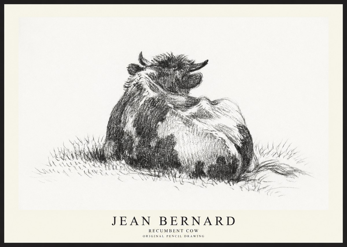 Jean Bernard Resting Highland Cow No3 - Póster