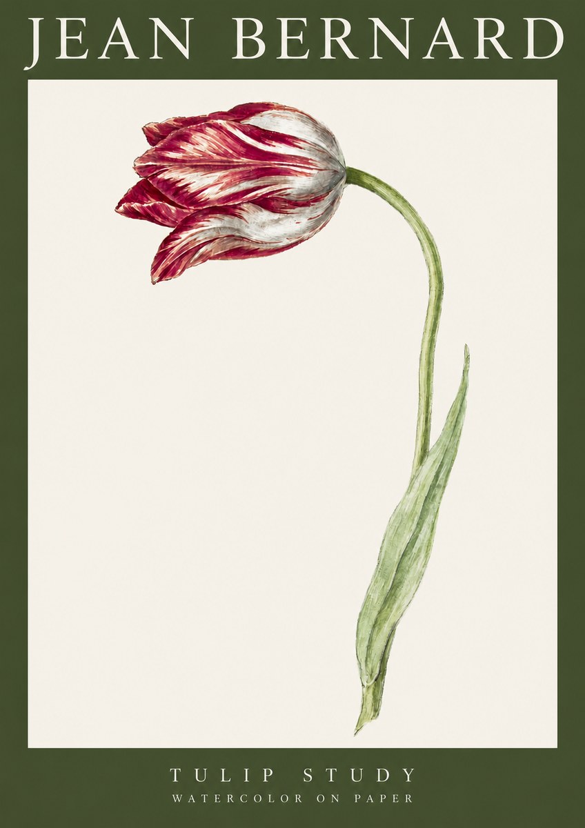 Jean Bernard Tulip Study No3 - Póster