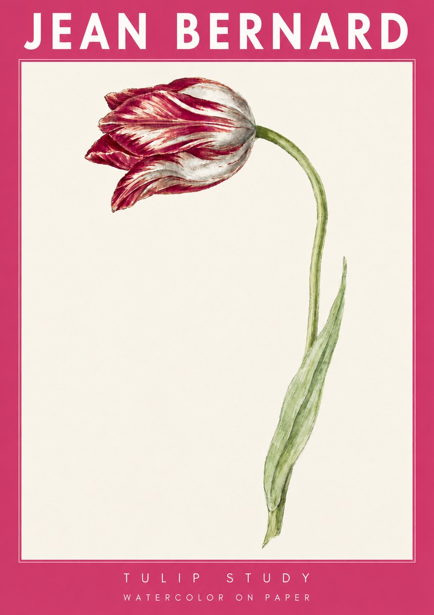 Jean Bernard Tulip Study No4 - Póster