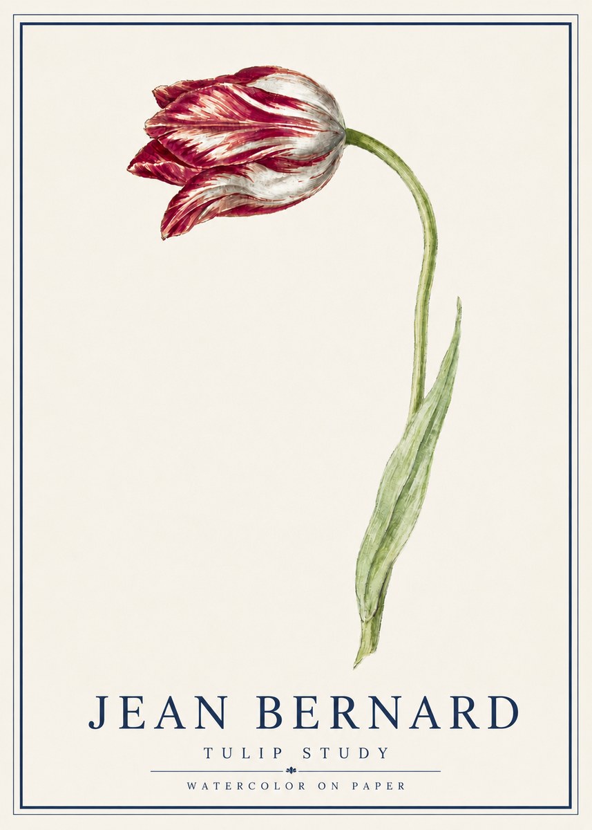 Jean Bernard Tulip Study No5 - Póster