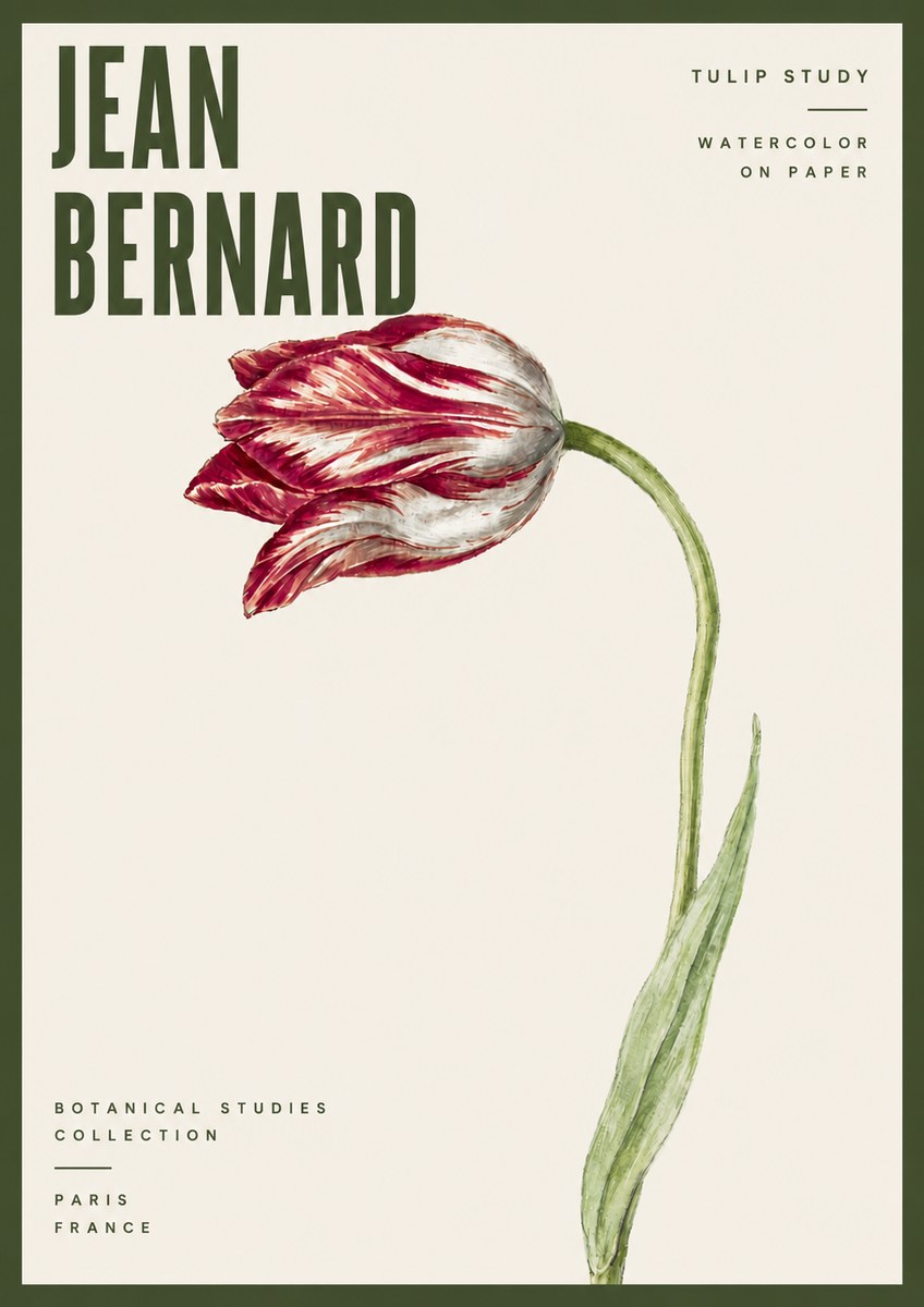 Jean Bernard Tulip Study No6 - Póster