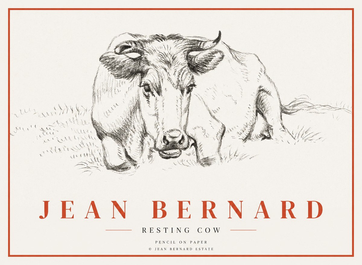 Jean Bernard Resting Cow II No3 - Póster
