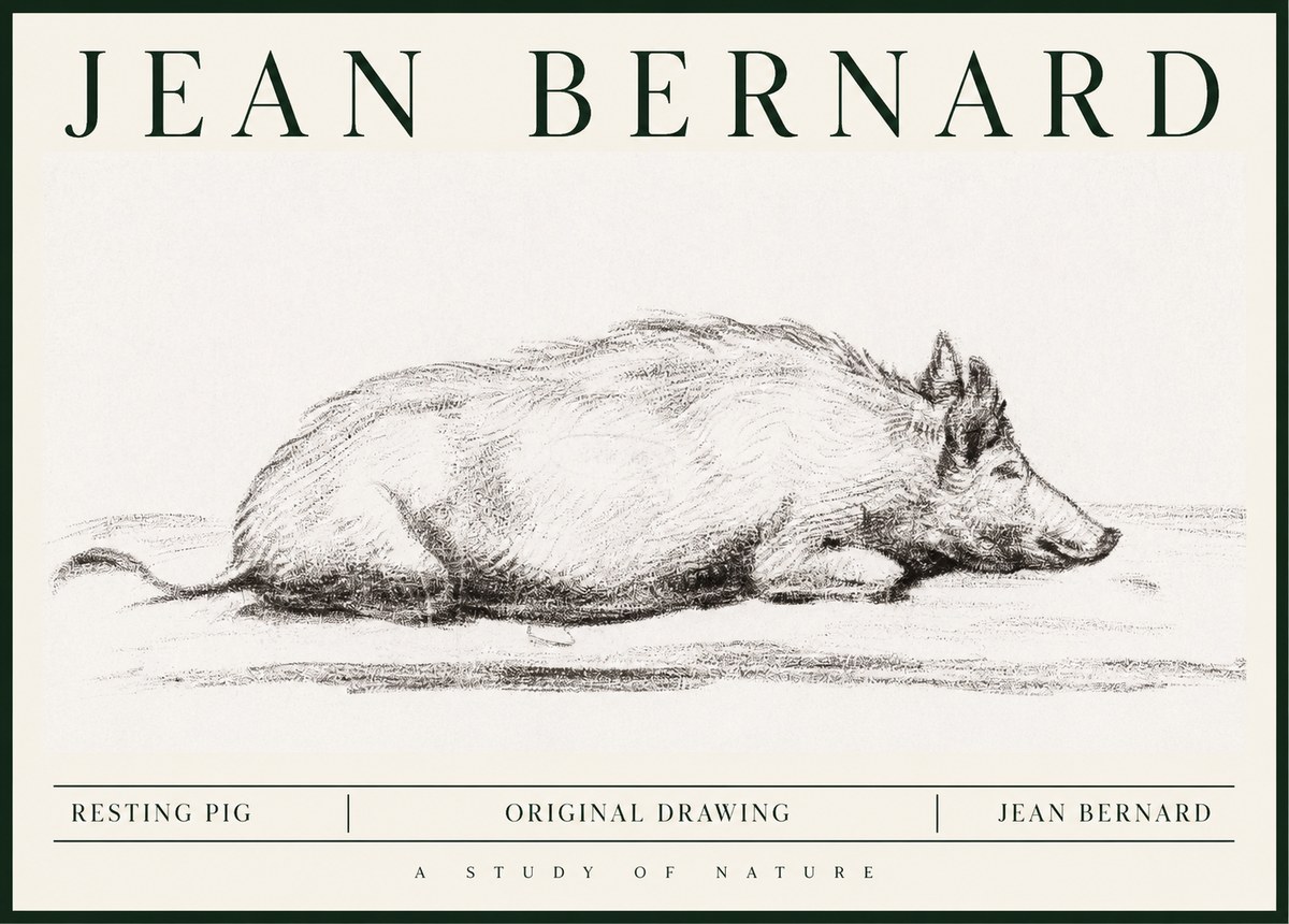 Jean Bernard Resting Pig I No1 - Póster