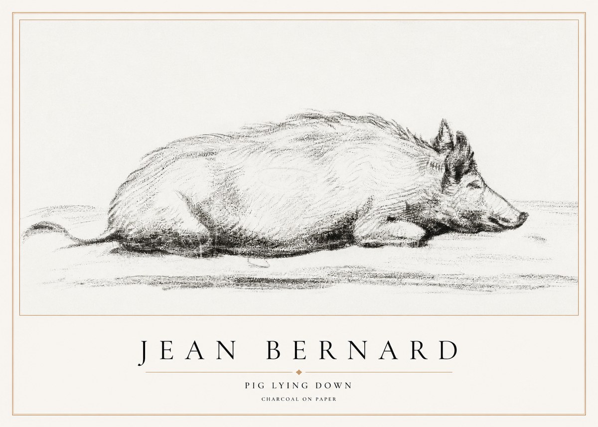 Jean Bernard Resting Pig I No2 - Póster