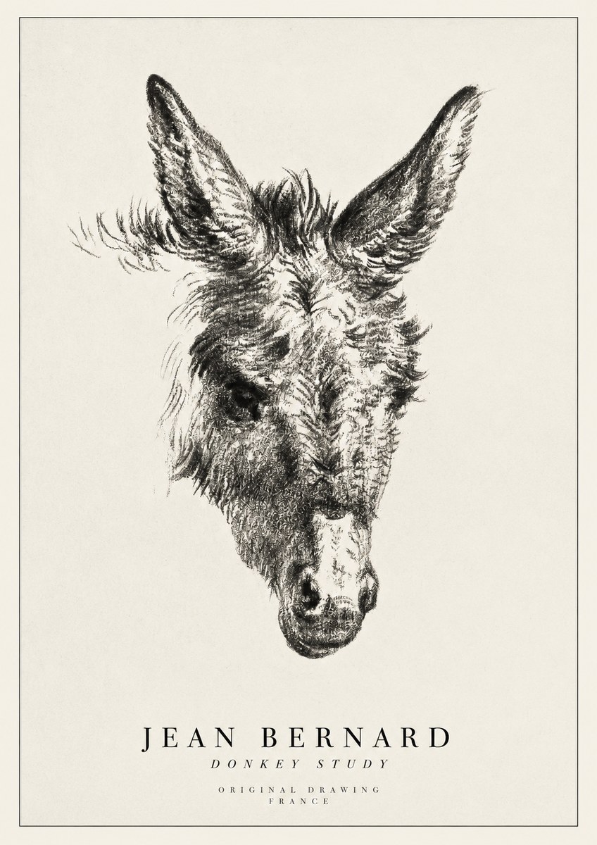 Jean Bernard Donkey Study IV No1 - Póster