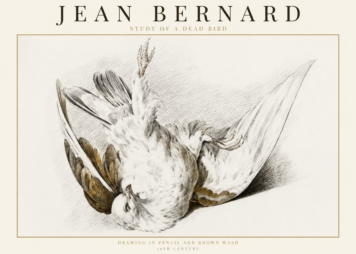 Jean Bernard Study of a Dead Bird No1 - Póster