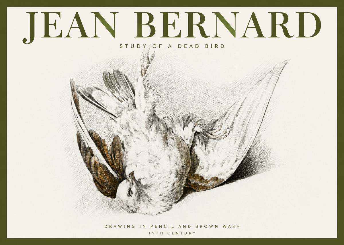 Jean Bernard Study of a Dead Bird No2 - Póster