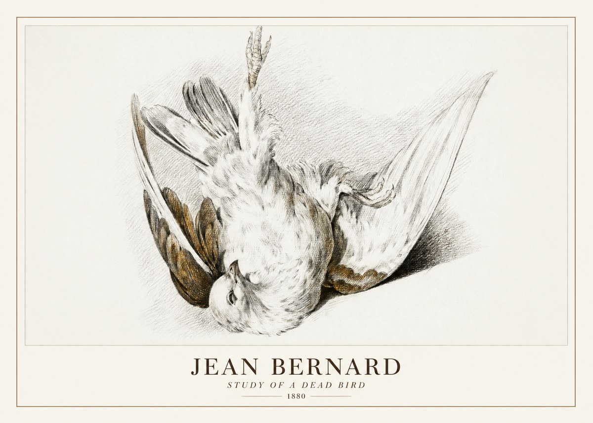 Jean Bernard Study of a Dead Bird No3 - Póster