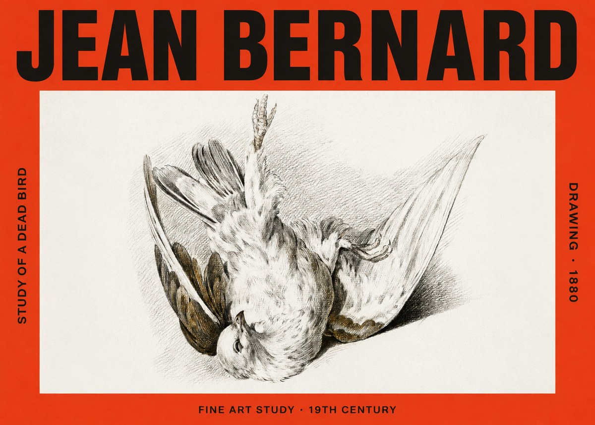 Jean Bernard Study of a Dead Bird No4 - Póster