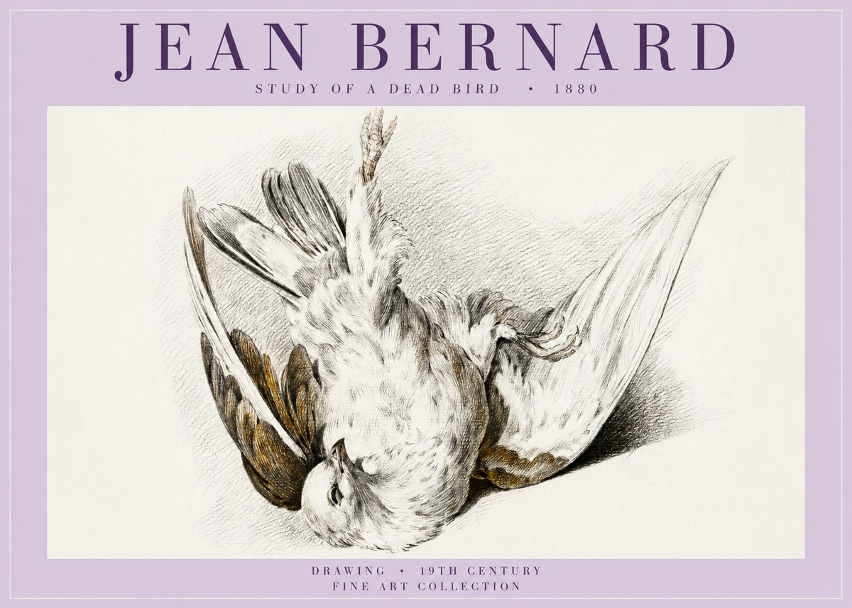 Jean Bernard Study of a Dead Bird No5 - Póster