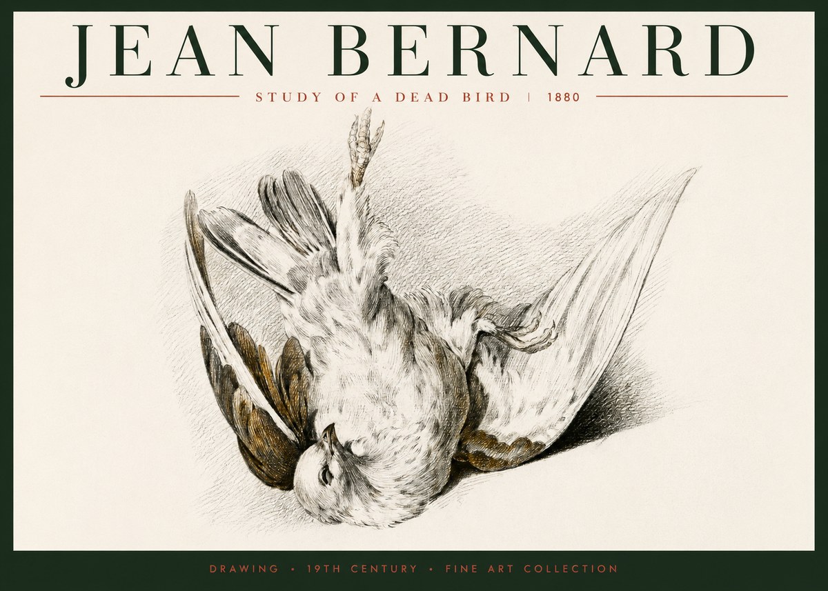 Jean Bernard Study of a Dead Bird No6 - Póster