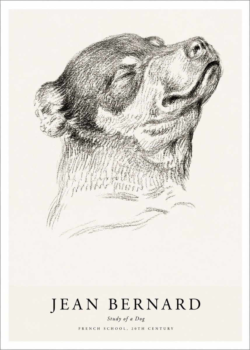 Jean Bernard Study of a Dog III No1 - Póster