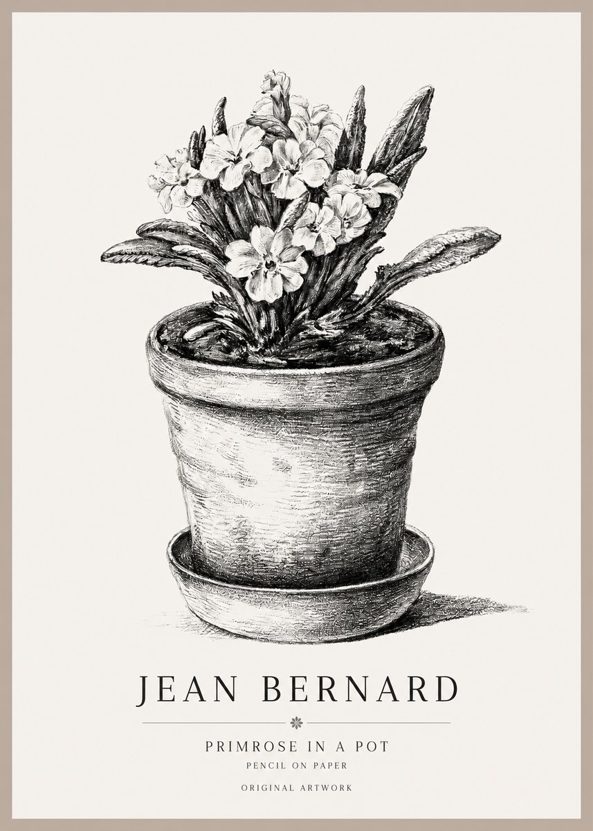 Jean Bernard Potted Primrose No2 - Póster