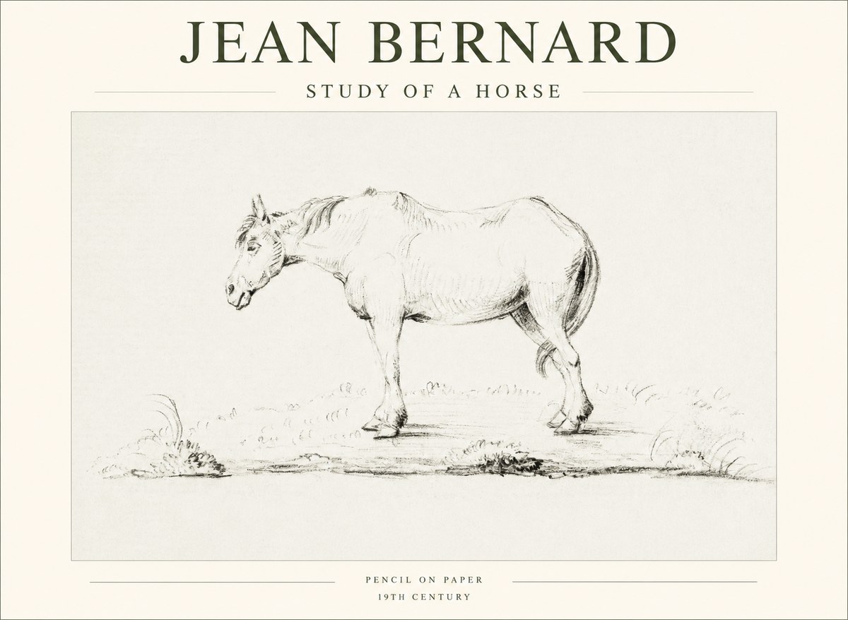 Jean Bernard Study of a Horse IX No1 - Póster