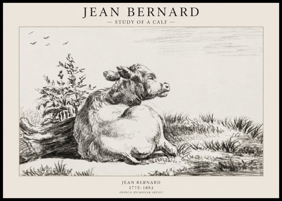 Jean Bernard Study of a Calf III No1 - Póster