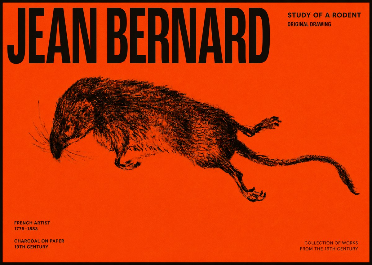 Jean Bernard Study of a Rat II No6 - Póster