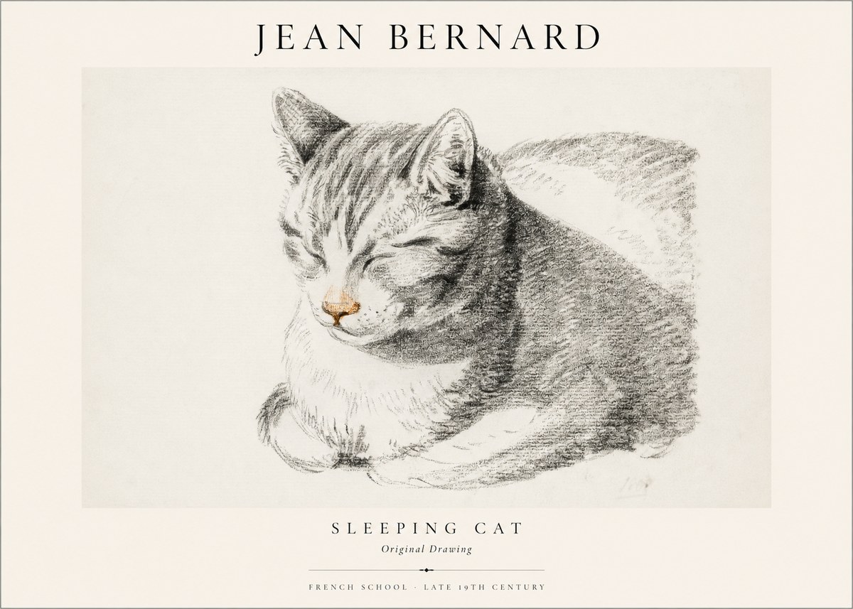 Jean Bernard Sleeping Cat VI No1 - Póster