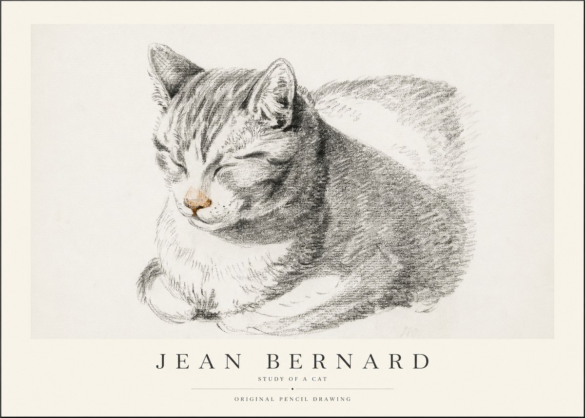 Jean Bernard Sleeping Cat VI No2 - Póster