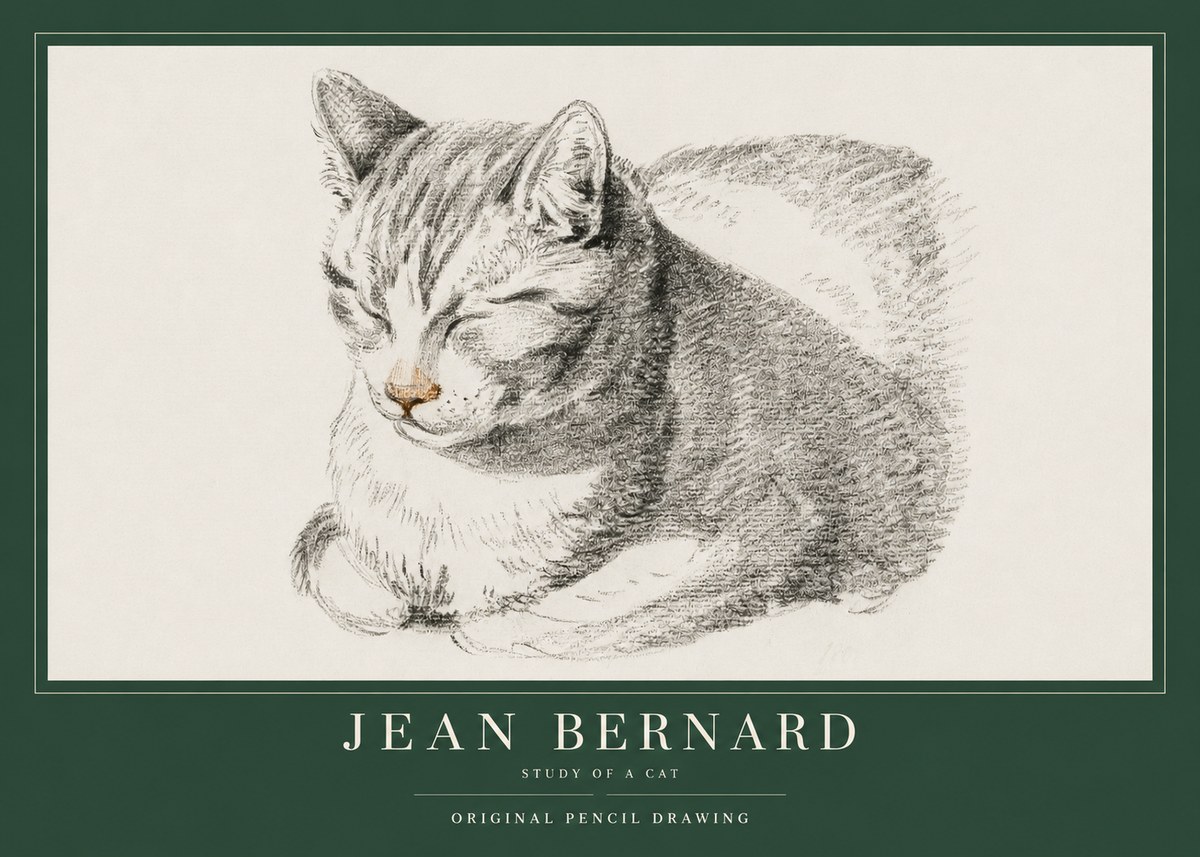 Jean Bernard Sleeping Cat VI No4 - Póster