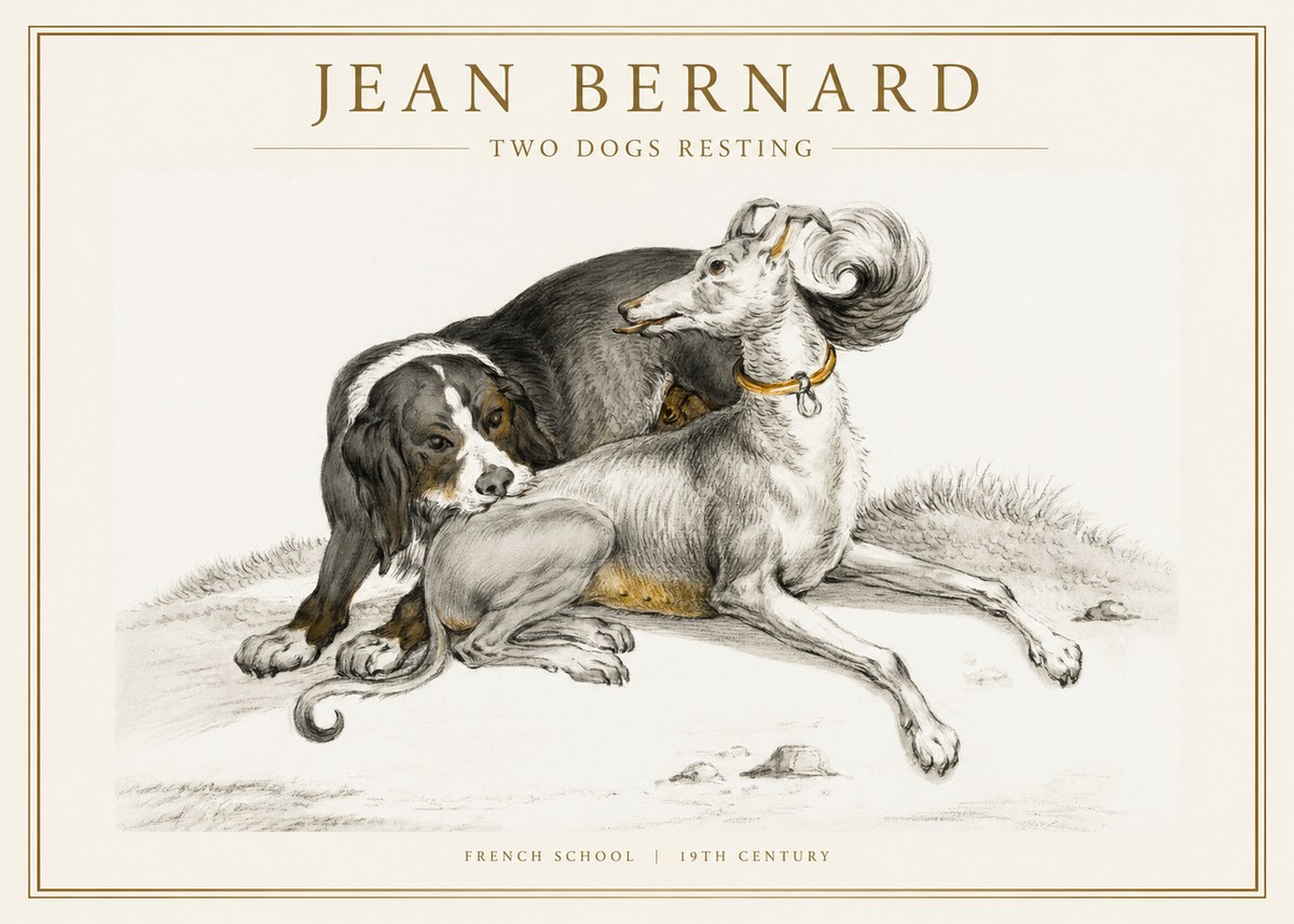 Jean Bernard Two Dogs Resting No1 - Póster