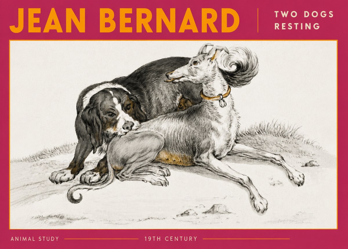 Jean Bernard Two Dogs Resting No6 - Póster